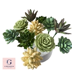 Succulents (Sugar flowers)