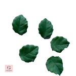 Sugar Rose Leaves Loose