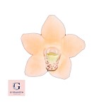 Royal Icing Apple Blossom 25