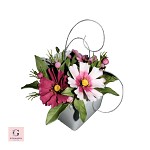 Sugar Cosmos Flower Pot