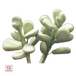 Sugar Double Poppy Flower Spray