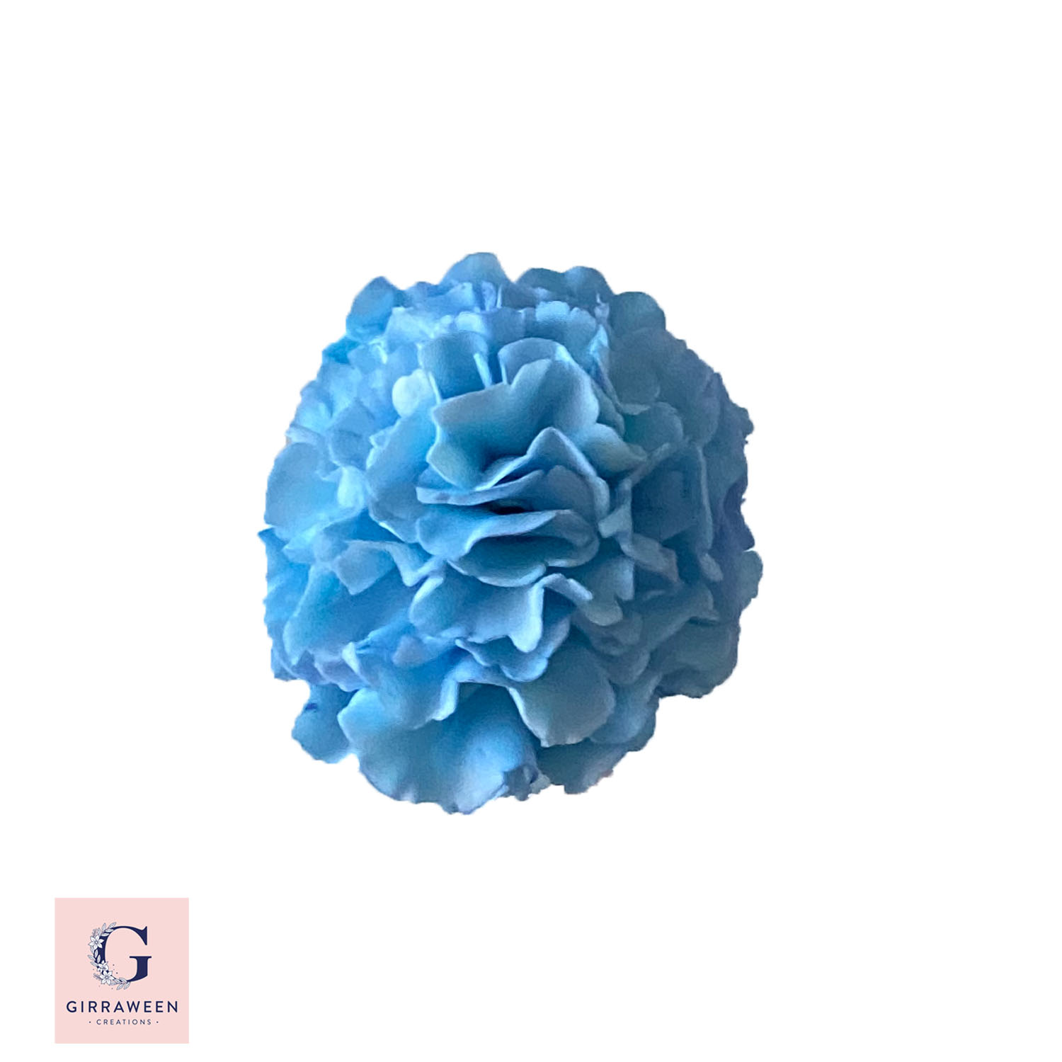 Sugar Carnations Flowers