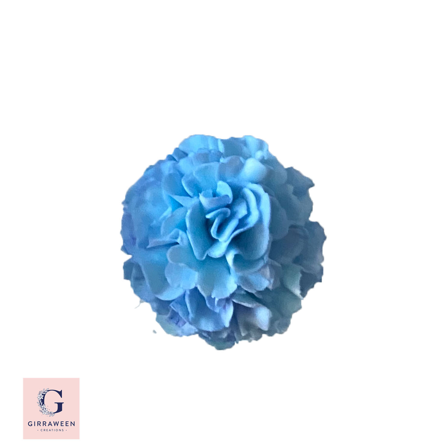 Sugar Carnations Flowers