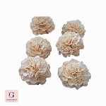 Girraween Superfine Flower Paste White