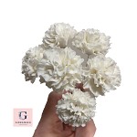 Girraween Superfine Flower Paste White