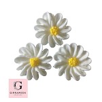 Royal Icing Baby Blossom Flowers