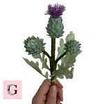 Sugar Scotch Thistle Stem