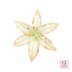 Sugar Flower Blossoms Small