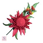 Sugar Waratah And Native Flower Spray