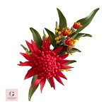 Sugar Waratah And Native Flower Spray