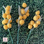 Sugar flower Daisies Triple cupcake toppers