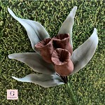 Sugar Succulent, Blushing Bride Protea and Leucadendron Flower Spray