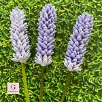 Lavender Stems