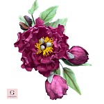 Open Peony with 2 Buds Sugar Flower Spray