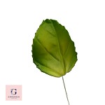 Sugar Jade Sprigs