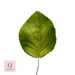 Sugar Jade Sprigs