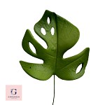 Sugar Double Poppy Flower Spray
