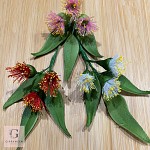 Sugar Flowering Gum Spray