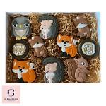 Woodland Animal Cookie Box
