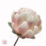Sugar Rose Leaves Loose