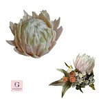 Sugar Rose Leaves Loose