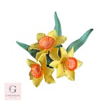 Sugar Daffodil Flower Stems