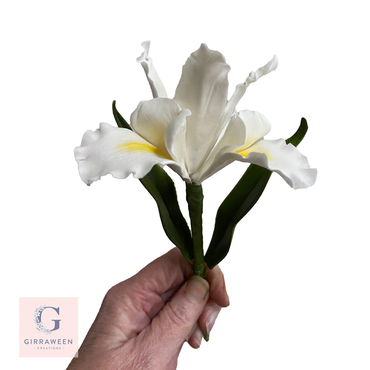 sugar-iris-flower-stem