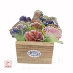 Mother's Day Floral Box