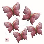 Butterfly Cookies