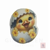 Chicken in Egg