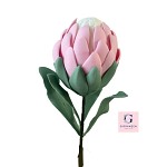 Protea Stem Native Sugar Flower