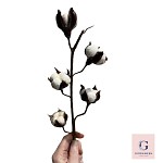 Edible Cotton Flower Stems