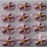 Royal Icing Apple Blossom Large 12