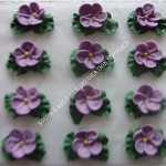 Royal Icing Baby Blossom Flowers with Leaves Pack 12