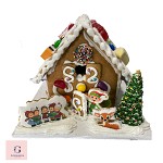 Christmas Cookie and mini Gingerbread House Gift Packs