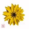 Sunflower 3.5"