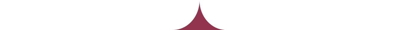 Vector2
